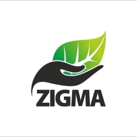 1789709449zigma_global_environ_solutions_plc_logo.jpg